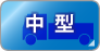 中型
